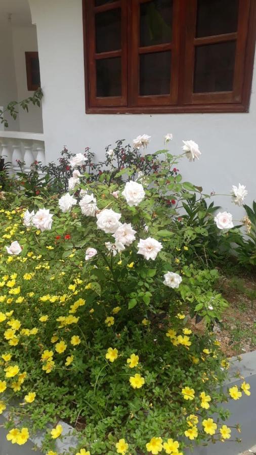 Ogumka, Self Catering , Beoliere, Mahe Hotell Victoria Eksteriør bilde